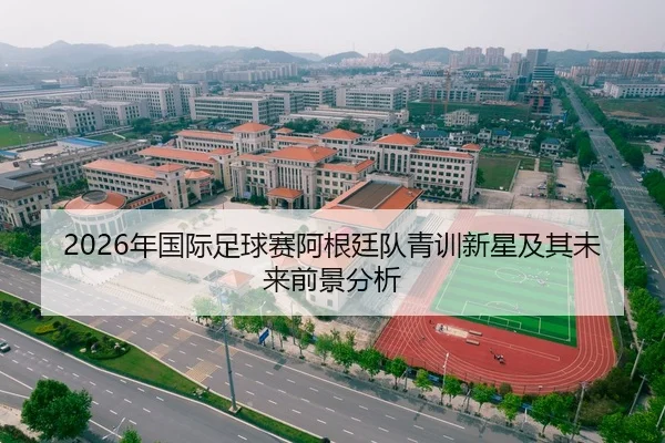 2026年国际足球赛阿根廷队青训新星及其未来前景分析